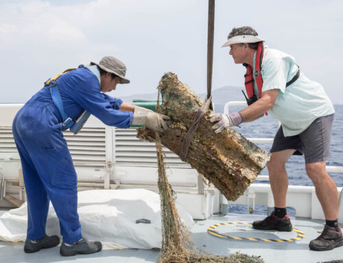 The Construction and Preservation of the Egadi Island Warships – ongoing