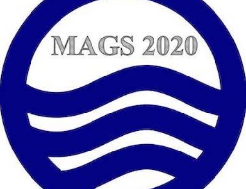 MAGS 2020