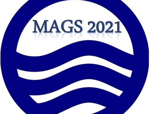 MAGS 2021