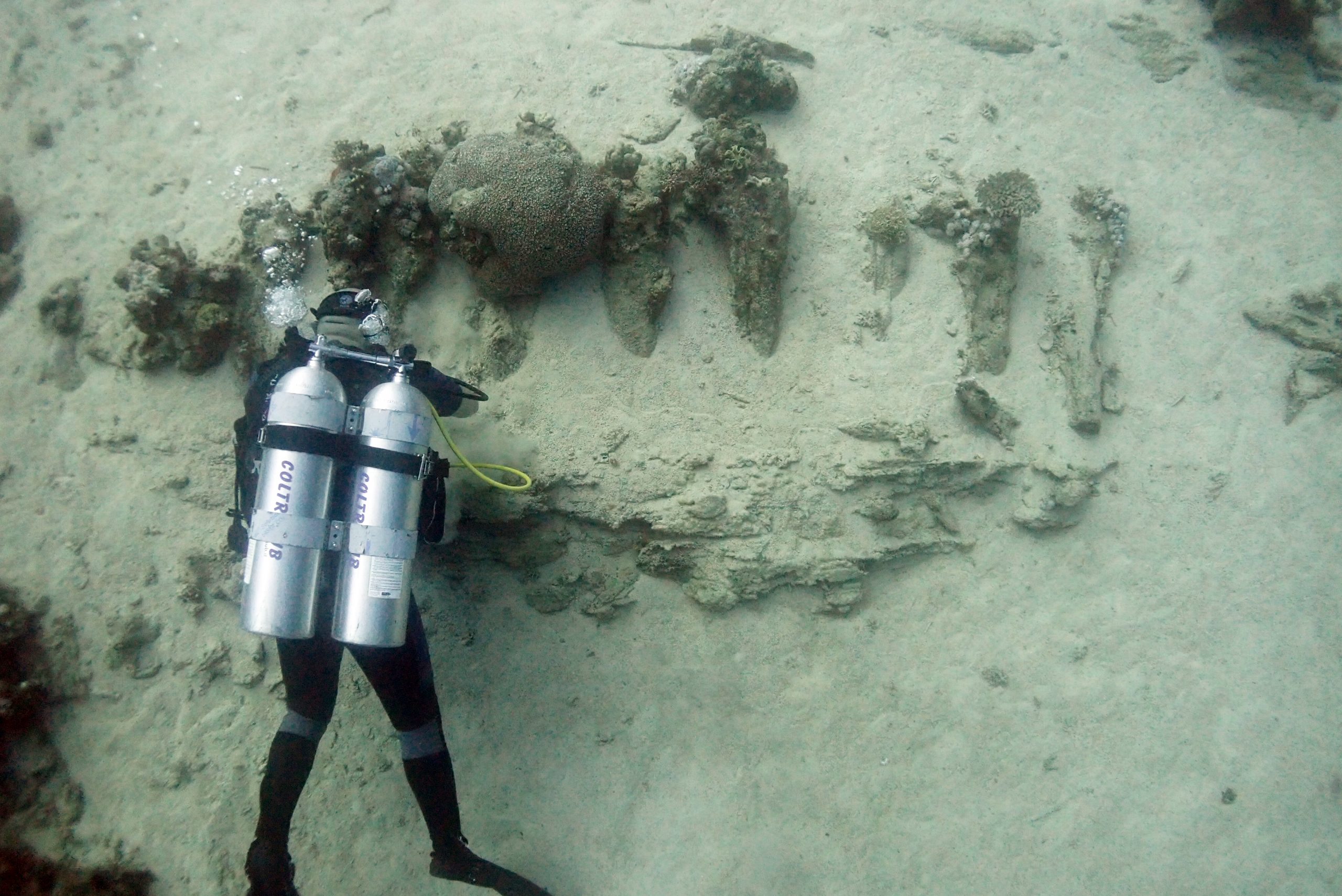 Sadana Island Shipwreck – Honor Frost Foundation