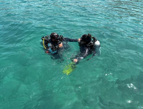 Dive Training