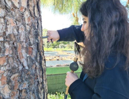 Christelle Kabboul- 2nd International School Wood and charcoals in Mediterranean forest ecology: anatomical identification and functional traits to interpret past and current climate changes- 2024