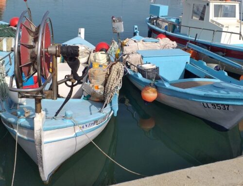 Recording the Vernacular Boats of Cyprus – 2023